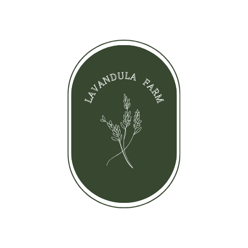 Lavandula Farm