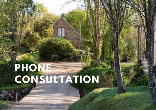 Wedding Phone Consultation