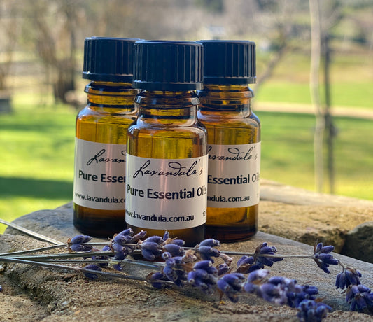 Winter Warmth - Pure Essential Oil Blend