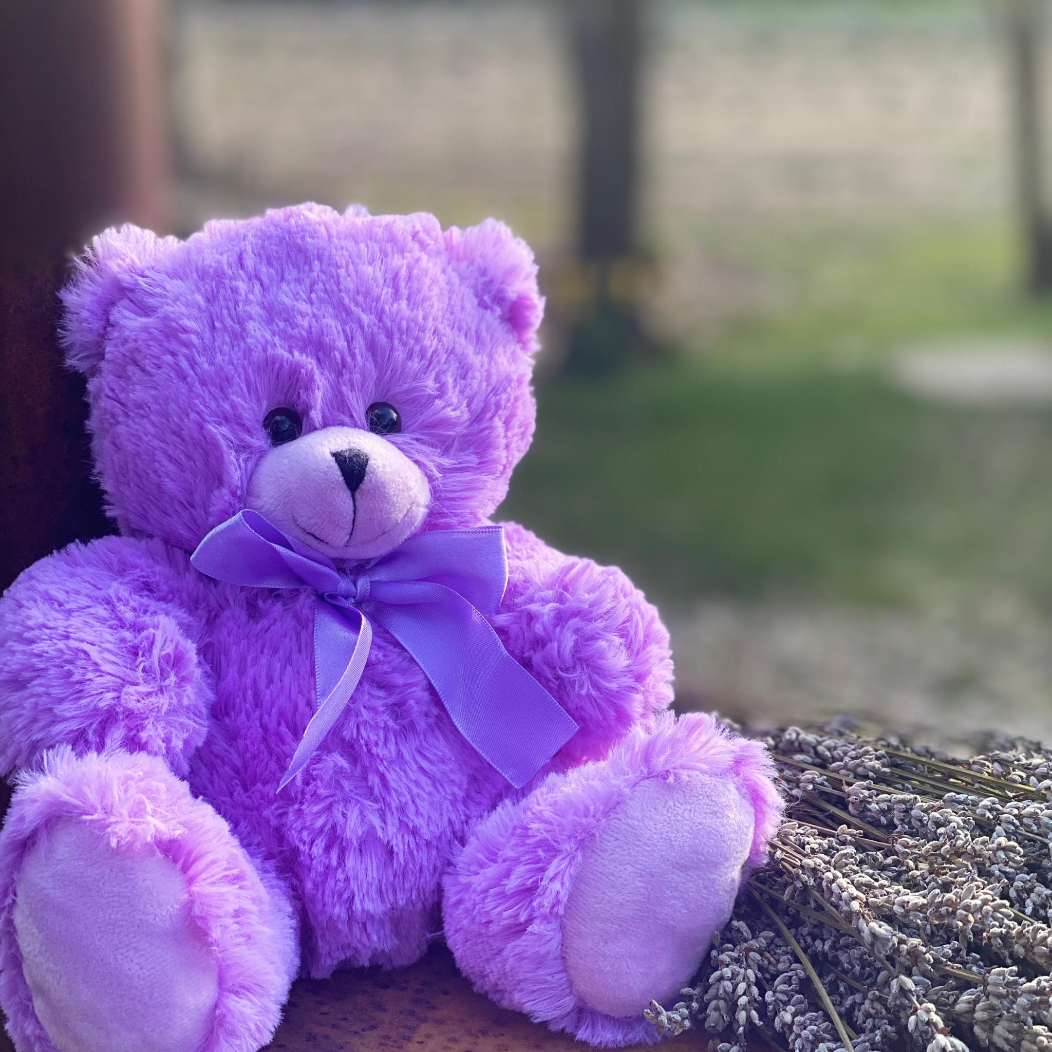 Lavender teddy store bear